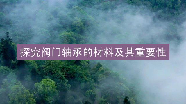 探究阀门轴承的材料及其重要性